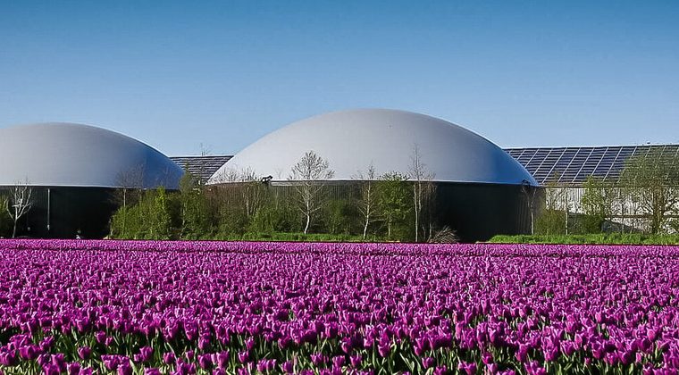 Biodujų saugykla tarp jėgainės rezervuarų